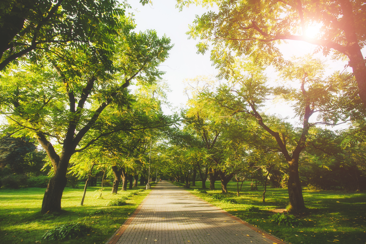 Private Counselling | Professional Help